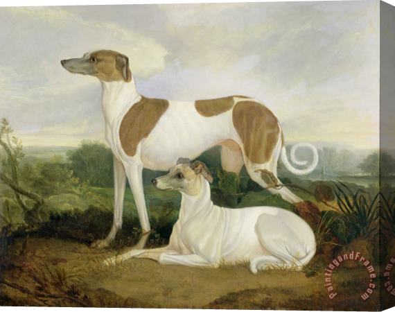 Charles Hancock Two Greyhounds in a Landscape Stretched Canvas Print / Canvas Art