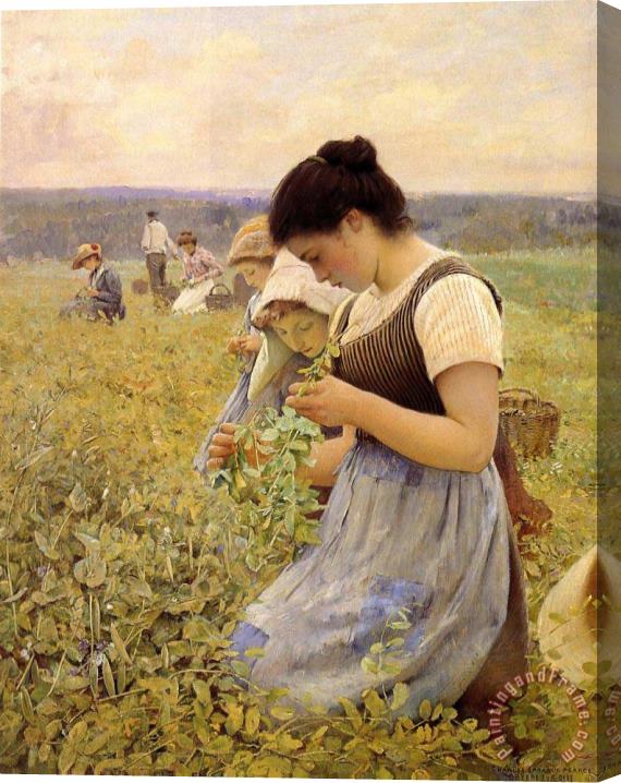 Charles Sprague Pearce Women in The Fields Stretched Canvas Painting / Canvas Art
