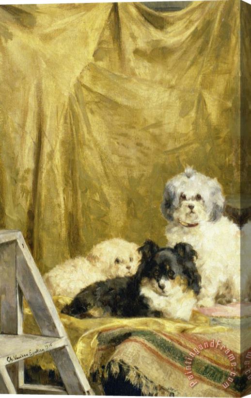 Charles van den Eycken Three Dogs Stretched Canvas Print / Canvas Art