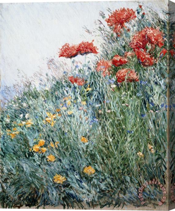 Childe Hassam Poppies Appledore Stretched Canvas Print / Canvas Art
