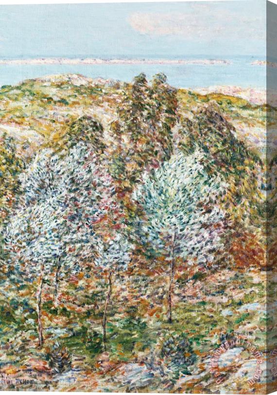 Childe Hassam Springtime Vision Stretched Canvas Painting / Canvas Art