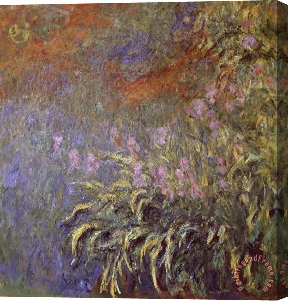 Claude Monet Iris In Pond Stretched Canvas Print / Canvas Art