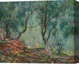 Stretched Canvas Print Stretched Canvas Print