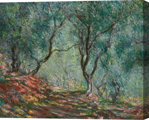Claude Monet Olive Trees in the Moreno Garden Stretched Canvas Print / Canvas Art