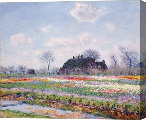 Claude Monet Tulip Fields at Sassenheim Stretched Canvas Print / Canvas Art