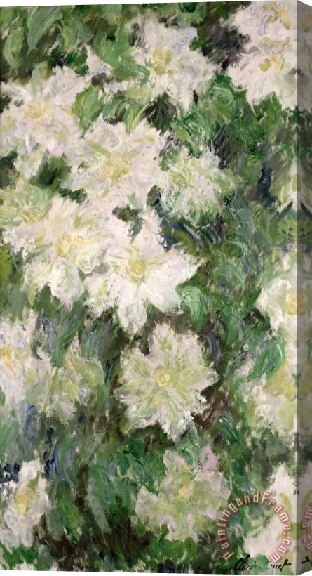 Claude Monet White Clematis Stretched Canvas Painting / Canvas Art