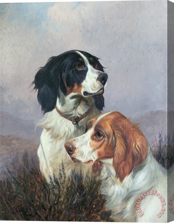 Colin Graeme Setters on a Moor Stretched Canvas Painting / Canvas Art
