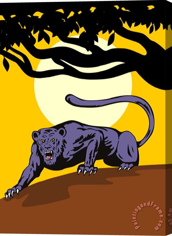 Collection 10 Jaguar Prowling Stretched Canvas Print / Canvas Art