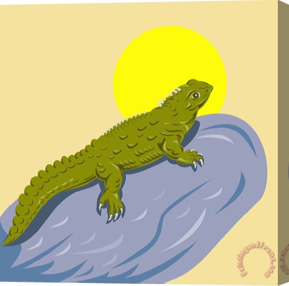 Collection 10 New Zealand Tuatara Retro Stretched Canvas Painting / Canvas Art