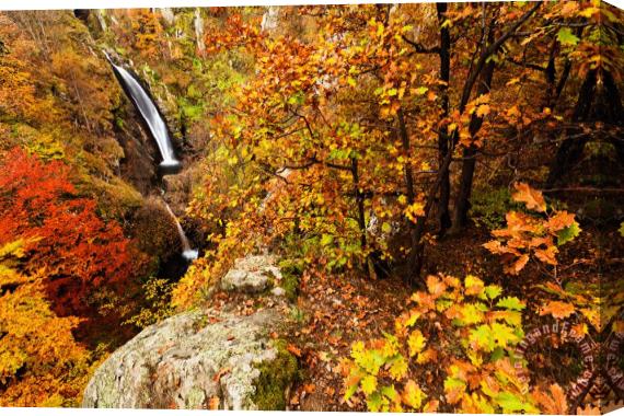 Collection 12 Autumn falls Stretched Canvas Print / Canvas Art
