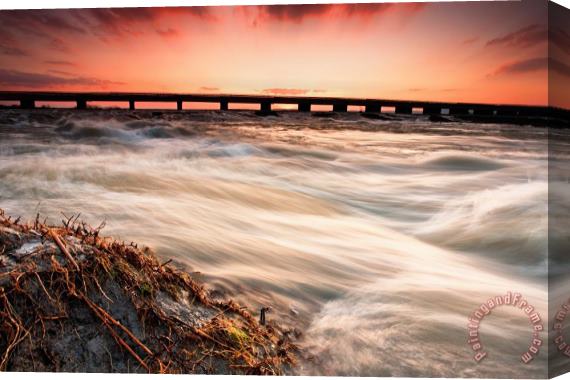 Collection 12 Wild River Stretched Canvas Print / Canvas Art