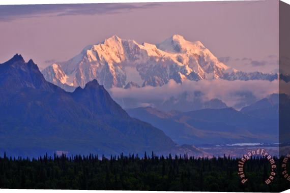 Collection 14 Denali Glows Stretched Canvas Print / Canvas Art