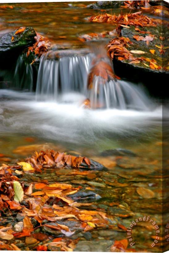 Collection 14 Stream Stretched Canvas Print / Canvas Art