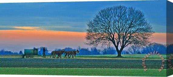 Collection 14 Through The Fields Stretched Canvas Print / Canvas Art
