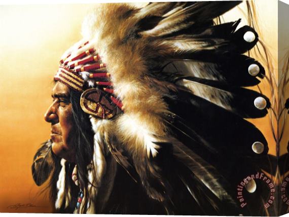 Collection 2 Chief Stretched Canvas Print / Canvas Art