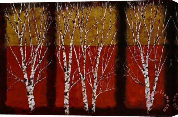 Collection 7 Cinque Betulle Stretched Canvas Print / Canvas Art