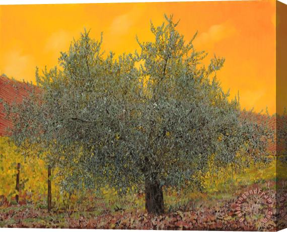 Collection 7 L'ulivo Tra Le Vigne Stretched Canvas Painting / Canvas Art