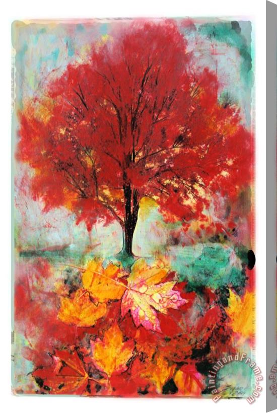 Collection 8 Autumn glow Stretched Canvas Print / Canvas Art