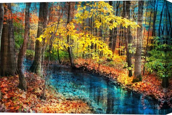Collection 8 Autumn stream Stretched Canvas Painting / Canvas Art