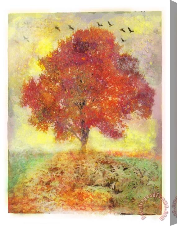 Collection 8 Autumn sunset Stretched Canvas Print / Canvas Art