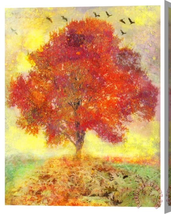 Collection 8 Autumn tree Stretched Canvas Print / Canvas Art