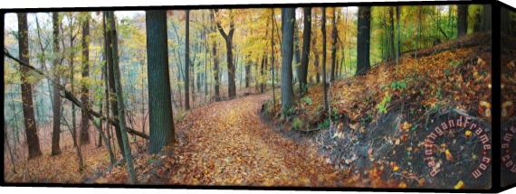 Collection 8 Autumn view Stretched Canvas Print / Canvas Art