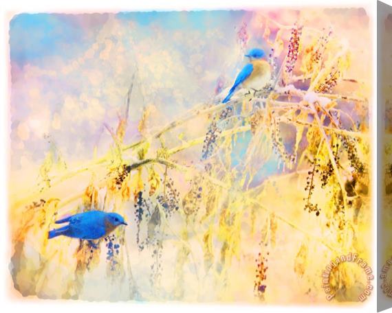 Collection 8 Bluebirds return Stretched Canvas Painting / Canvas Art