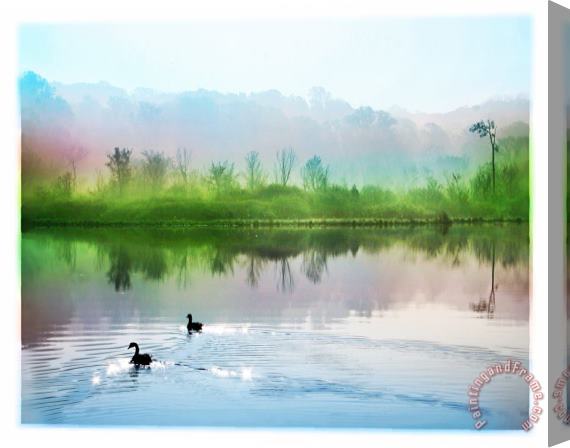 Collection 8 Calming water Stretched Canvas Painting / Canvas Art