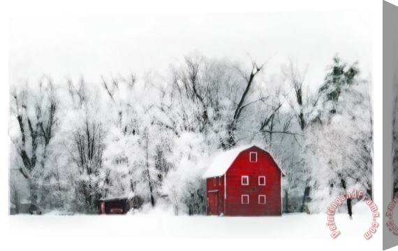 Collection 8 Country winters Stretched Canvas Print / Canvas Art
