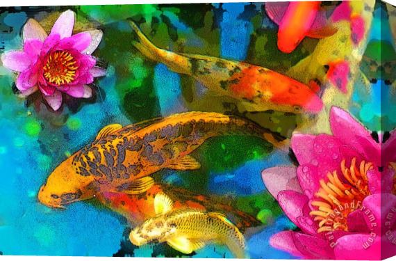Collection 8 Koi play Stretched Canvas Painting / Canvas Art