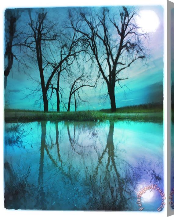 Collection 8 Night sky Stretched Canvas Print / Canvas Art