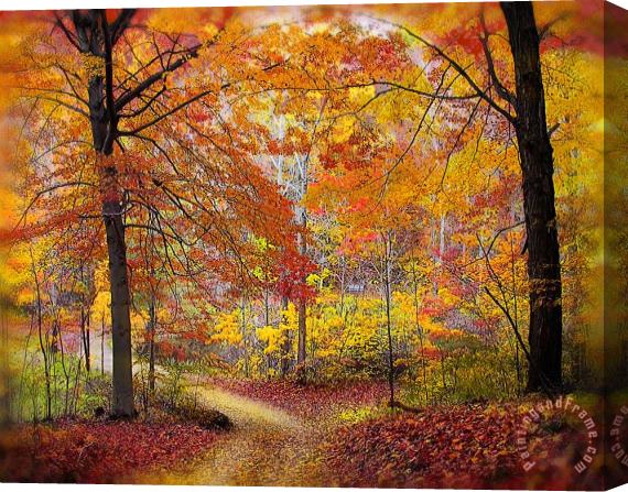 Collection 8 Soft autumn rain Stretched Canvas Painting / Canvas Art