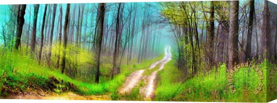 Collection 8 Spring green dirt road Stretched Canvas Painting / Canvas Art