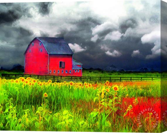 Collection 8 The red barn Stretched Canvas Print / Canvas Art