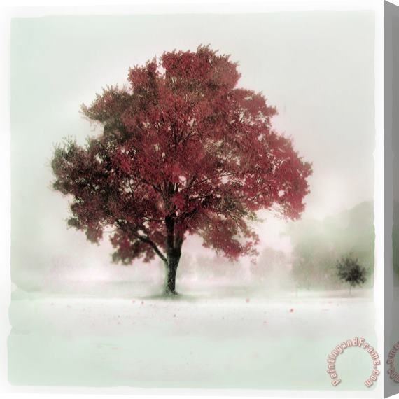Collection 8 winter greets Autumn Stretched Canvas Print / Canvas Art