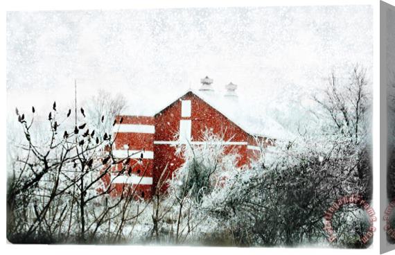 Collection 8 Winter View Stretched Canvas Print / Canvas Art
