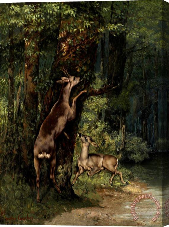 Courbet, Gustave Deer in The Forest Stretched Canvas Print / Canvas Art