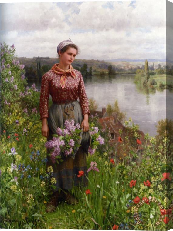 Daniel Ridgway Knight Gathering Lilacs Stretched Canvas Painting / Canvas Art