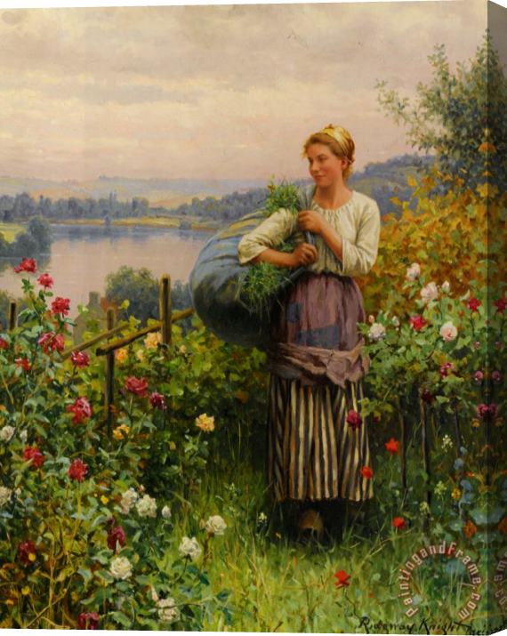 Daniel Ridgway Knight The Rose Garden Stretched Canvas Print / Canvas Art