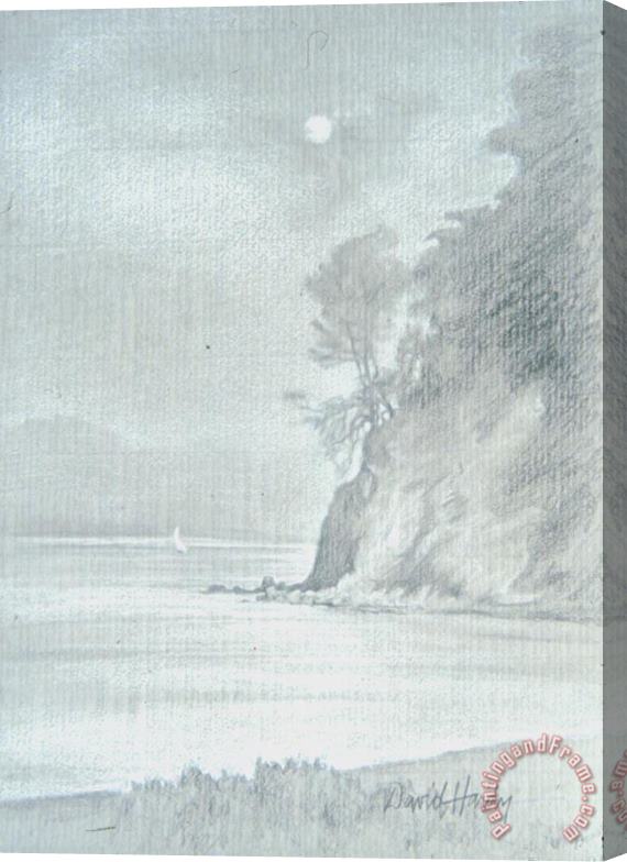 David Hardy Bay Moon Stretched Canvas Print / Canvas Art