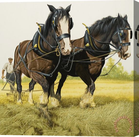 David Nockels Farm Horses Stretched Canvas Painting / Canvas Art