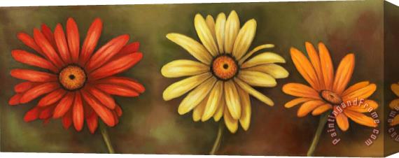 Debra Lake Daisy Chain Stretched Canvas Painting / Canvas Art