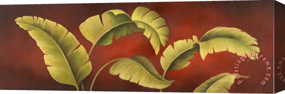 Debra Lake Ferns 1 Stretched Canvas Print / Canvas Art
