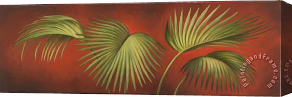 Debra Lake Ferns 2 Stretched Canvas Print / Canvas Art
