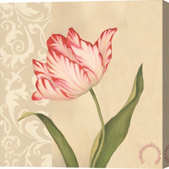Debra Lake Parrot Tulip Stretched Canvas Print / Canvas Art