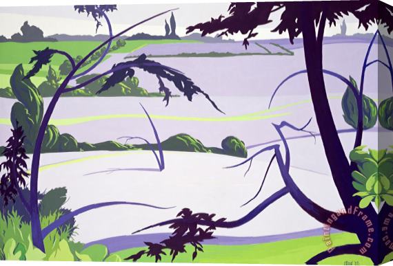 Derek Crow Flax Fields - Rayne Stretched Canvas Print / Canvas Art