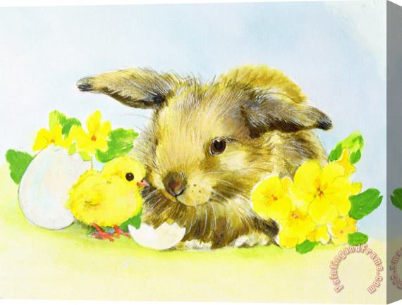 Diane Matthes Easter Bunny With Primrose And Chick Stretched Canvas Painting / Canvas Art
