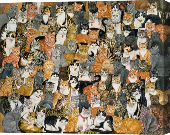 Ditz Double Cat Spread Stretched Canvas Print / Canvas Art