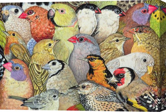 Ditz Patchwork Birds Stretched Canvas Print / Canvas Art