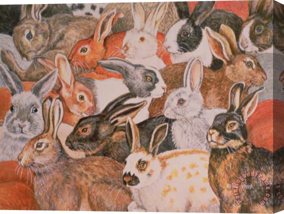 Ditz Rabbit Spread Stretched Canvas Print / Canvas Art